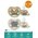  Пустышка Philips Avent SCF085/17 ultra air 6-18 месяцев 2 шт 