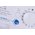  Стиральная машина Indesit BWSB 61051 