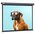  Экран Cactus CS-PSW-168X299-SG Wallscreen настенно-потолочный рулонный серый 