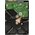  Жесткий диск WD Purple WD20PURZ, 2ТБ 