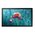  Профессиональная панель SAMSUNG QB13R (LH13QBREBGCXCI) 13" 