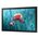  Профессиональная панель SAMSUNG QB13R (LH13QBREBGCXCI) 13" 