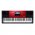  Синтезатор Casio CTK-6250 красный 