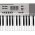  Цифровое фортепиано Casio CDP-230R SR серебристый 