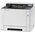  Принтер лазерный Kyocera Ecosys PA2100CX 