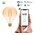  Умная лампа Gauss IoT Smart Home (1340112) E27 6.5Вт 720lm Wi-Fi 