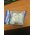  Розетка силовая Panasonic Karre Plus (WKTT02112BG) защитн. шторк. мех.+лиц.  панель. бежевый 