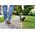  Триммер аккумуляторный Bosch EasyGrassCut 18V-26 (без акк и ЗУ) 06008C1C04 