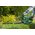  Кусторез Bosch EasyHedgeCut 45 (0600847A05) 