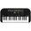  Синтезатор Casio SA-51 (SA-51H2) 32 клавиши черный 