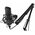  Микрофон RITMIX RDM-169 Black 