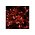  Гирлянда Neon-Night 305-182 Нить 10м прозрачный 230В Красный 