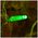  Гирлянда Neon-Night 235-304-6 Светодиодный Дождь 2х1,5м постоянное свечение прозрачный провод 230В диоды зеленые192 LED 