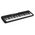  Синтезатор Casio CT-S200BK 61клав. черный 