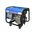  Дизель генератор ТСС TSS SDG 3300EH 100044 