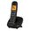  Телефон TEXET TX-D8905A черный (127223) 