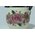  Банка для хранения сыпучих продуктов BACKMAN BM-0619-02 700мл 