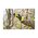  Секатор аккумуляторный Ryobi RY18SCXA-0 (5133005025) 