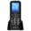  Мобильный телефон MAXVI B21ds up Black 