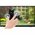  Монитор Acer UT272UBMIPZX (UM.HW2EE.002) 