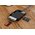  Картридер UGREEN CR125 30333 USB 3.0 All-in-One Card Reader 50cm Grey 