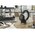  Гарнитура Jabra Evolve2 75, Link380a MS Stereo (27599-999-999) Black 