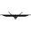  Монитор SunWind SUN-M27BA108 27", черный 