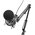  Микрофон Ritmix RDM-180 черный 