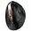  Мышь беспроводная Genius Ergo 8250S Champagne/Black 
