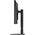  Монитор CHIQ LMD24F900-RPS 
