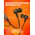  Наушники HOCO M86 Oceanic universal earphones with mic, black 