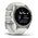  Smart-часы Garmin Epix Gen 2 Sapphire 010-02582-21 белый/титан 