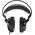  Наушники AUDIO-TECHNICA ATH-AVC500 черный 