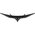 Монитор Acer ED343CURHbmiippx (UM.CE3EE.H01) Black 