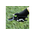  Секатор садовый Deli DL580201 