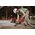 Перфоратор Milwaukee M18 Fuel FHACOD32-0 (4933492141) без АКБ и ЗУ 