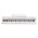 Цифровое пианино TESLER KB-8855 White 