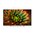 Телевизор Topdevice TDTV65CS05U_BK 