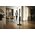  Пылесос Miele Triflex HX2 125 Gala Edition Obsidian black 