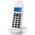  Радиотелефон Motorola C1001СB+ белый 