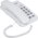  Телефон SANYO RA-S108W 