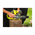  Цепная пила Ryobi 18В RY18CS20A-125 (5133005415) 