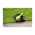  Подрезчик кромок Ryobi One+ RY18EGA-0 (5133004891) без аккумулятора в комплекте 