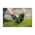  Подрезчик кромок Ryobi One+ RY18EGA-0 (5133004891) без аккумулятора в комплекте 