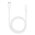  Ирригатор HASTEN HAS810 