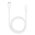  Ирригатор HASTEN HAS840 