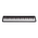  Цифровое фортепиано NUX NPK-10-BK 
