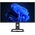  Монитор Digma Pro Action M DM27SP07 черный 