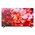  Телевизор BLACKTON Bt 50FSU42B Black 