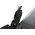  Газонокосилка Stiga Combi 955 V (294557848/ST2) 